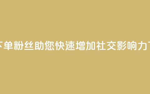 低价下单粉丝，助您快速增加社交影响力 第1张