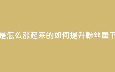 粉丝是怎么涨起来的 - 如何提升粉丝量~ 第1张 粉丝是怎么涨起来的 - 如何提升粉丝量~ 第1张
