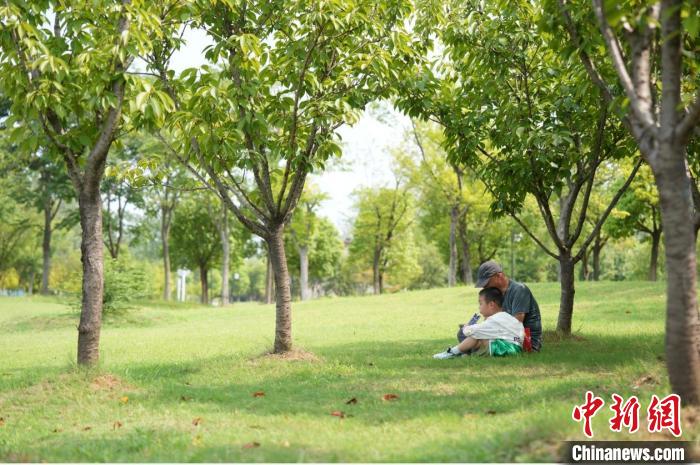 “马鞍山长江保护日”的绿色承诺与行动 第3张