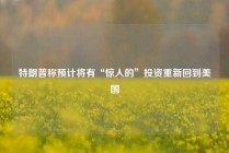 特朗普称预计将有“惊人的”投资重新回到美国