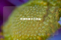 哔哩哔哩平台收益