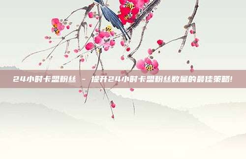 24小时卡盟粉丝 - 提升24小时卡盟粉丝数量的最佳策略!  第1张