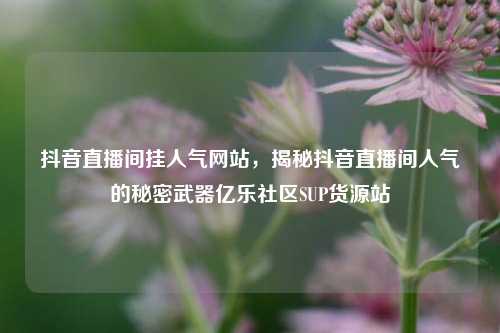 抖音直播间挂人气网站，揭秘抖音直播间人气的秘密武器亿乐社区SUP货源站  第1张