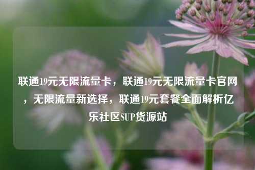联通19元无限流量卡	，联通19元无限流量卡官网，无限流量新选择，联通19元套餐全面解析亿乐社区SUP货源站  第1张