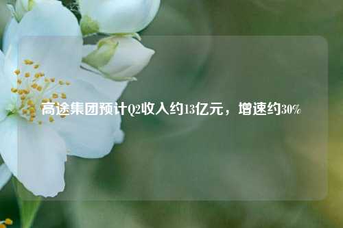 高途集团预计Q2收入约13亿元	，增速约30%  第1张
