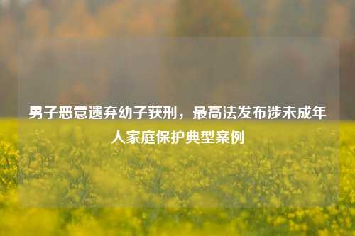 男子恶意遗弃幼子获刑，最高法发布涉未成年人家庭保护典型案例  第1张