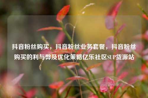 抖音粉丝购买，抖音粉丝业务套餐，抖音粉丝购买的利与弊及优化策略亿乐社区SUP货源站  第1张