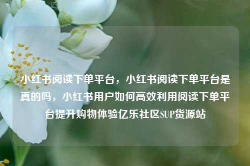 小红书阅读下单平台	，小红书阅读下单平台是真的吗，小红书用户如何高效利用阅读下单平台提升购物体验亿乐社区SUP货源站  第1张