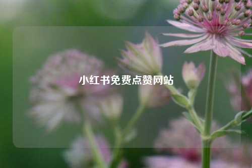 小红书免费点赞网站  第1张