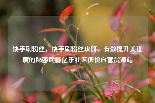 快手刷粉丝，快手刷粉丝攻略	，有效提升关注度的秘密武器亿乐社区低价自营货源站  第1张