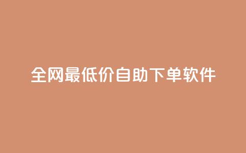 全网最低价自助下单软件,ks自动下单平台 - qq赞0.1元一万 qq号自助下单  第1张