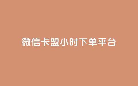 微信卡盟24小时下单平台 - 24小时便捷下单的微信卡盟平台揭秘！  第1张