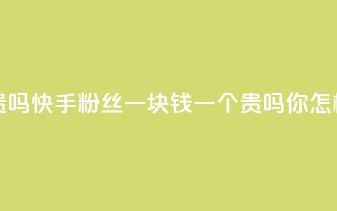 快手粉丝一块钱一个贵吗 - 快手粉丝一块钱一个贵吗你怎样看待这个价格？!  第1张