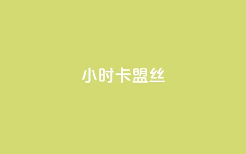 24小时卡盟丝 - 傲世卡盟  第1张