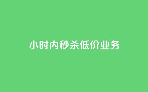 24小时内秒杀低价KS业务  第1张