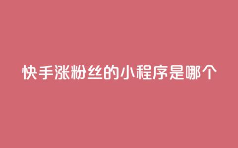 快手涨粉丝的小程序是哪个,彩虹自助下单24 - 抖音业务下单点赞24小时 qq空间访问刷人气网站  第1张