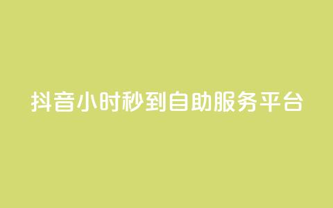 抖音24小时秒到自助服务平台,快手24小时自助免费下单软件 - ks买赞软件百货商城 抖音业务下单免费  第1张