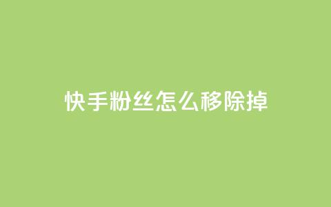 快手粉丝怎么移除掉,24小时自助下单云小店 - 快手真人点赞业务微信支付 QQ资料卡怎么点赞  第1张