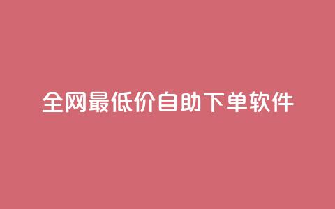 全网最低价自助下单软件,王者人气自助 - 抖音如何看点赞评论 快手24小时业务平台  第1张