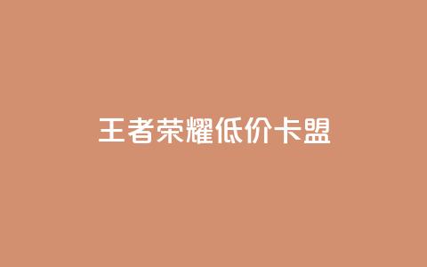 王者荣耀低价卡盟,卡盟dy业务 - 拼多多助力网站新用户 拼多多上可以讲价吗  第1张