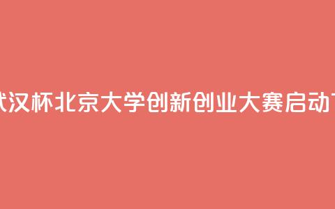 首届“武汉杯”北京大学创新创业大赛启动  第1张