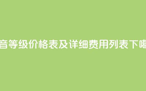 抖音等级价格表及详细费用列表  第1张