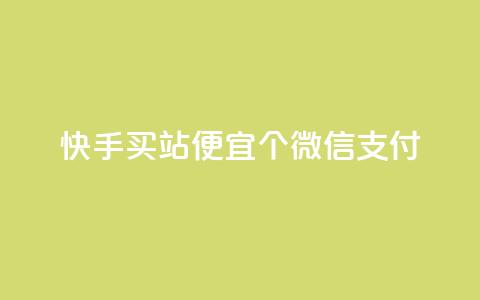 快手买站便宜100个微信支付,快手推广上热门软件下载 - 子潇网络老马低价下单 永久会员  第1张