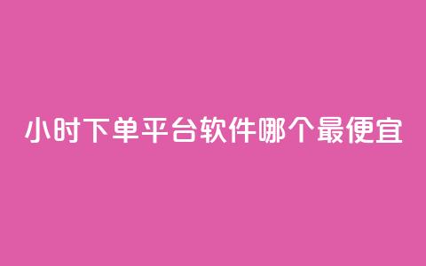 24小时下单平台软件哪个最便宜,24小时秒单业务平台免费 - 颜夕卡盟平台官网 1毛钱10000播放量快手创业  第1张