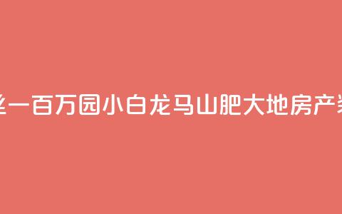 快手粉丝一百万0.01园小白龙马山肥大地房产装修网站,dy业务低价自助平台超低价 - 抖音粉丝特价 抖音100万粉丝不带货赚钱吗  第1张