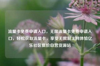 流量卡免费申请入口，无限流量卡免费申请入口，轻松获取流量卡，享受无限制上网体验亿乐社区低价自营货源站