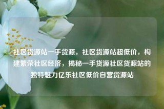 社区货源站一手货源，社区货源站超低价，构建繁荣社区经济，揭秘一手货源社区货源站的独特魅力亿乐社区低价自营货源站