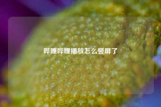 哔哩哔哩播放怎么竖屏了