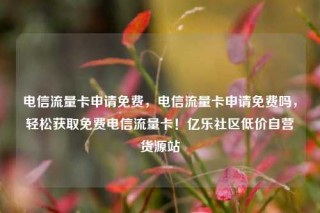电信流量卡申请免费，电信流量卡申请免费吗，轻松获取免费电信流量卡！亿乐社区低价自营货源站