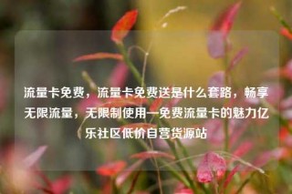 流量卡免费，流量卡免费送是什么套路，畅享无限流量，无限制使用—免费流量卡的魅力亿乐社区低价自营货源站