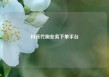 抖音代刷业务下单平台