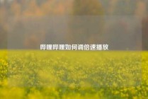 哔哩哔哩如何调倍速播放