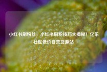 小红书刷粉丝，小红书刷粉技巧大揭秘！亿乐社区低价自营货源站