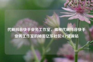 代刷抖音快手业务工作室，揭秘代刷抖音快手业务工作室的秘密亿乐社区SUP货源站