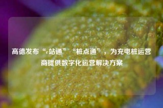 高德发布“e站通”“桩点通”，为充电桩运营商提供数字化运营解决方案