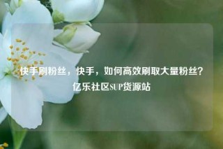 快手刷粉丝，快手，如何高效刷取大量粉丝？亿乐社区SUP货源站