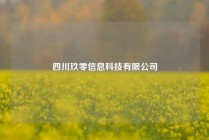 四川玖零信息科技有限公司