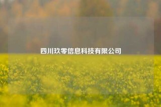 四川玖零信息科技有限公司