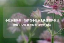 小红书刷粉丝，如何在小红书上快速提升粉丝数量？亿乐社区低价自营货源站