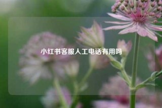 小红书客服人工电话有用吗