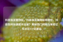 抖音涨流量网站，抖音涨流量网站有哪些，抖音如何快速提升流量？揭秘热门网站与策略亿乐社区SUP货源站