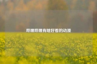 哔哩哔哩有啥好看的动漫