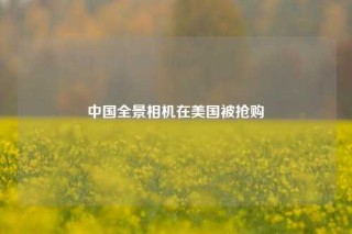 中国全景相机在美国被抢购 