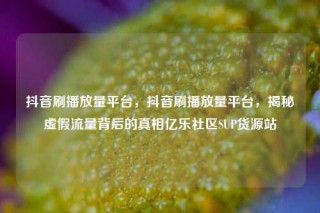 抖音刷播放量平台，抖音刷播放量平台，揭秘虚假流量背后的真相亿乐社区SUP货源站