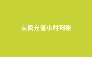 dy点赞充值24小时到账,王者点赞官网网址 - 拼多多真人助力平台免费 - 如何用易评买其他店铺的东西
