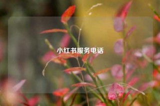小红书服务电话